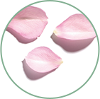 Organic Rose Water