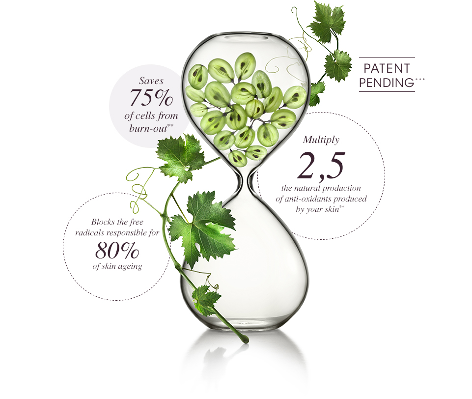 Polyphenols - Proven effective